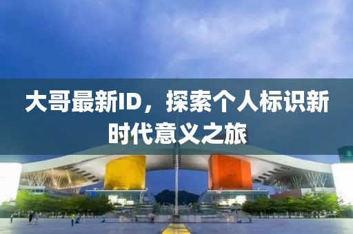 大哥最新ID，探索个人标识新时代意义之旅