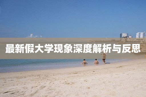 最新假大学现象深度解析与反思