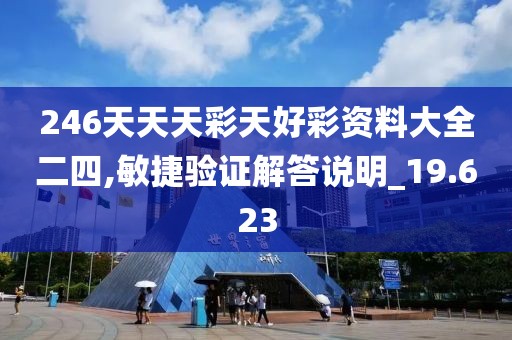 246天天天彩天好彩资料大全二四,敏捷验证解答说明_19.623