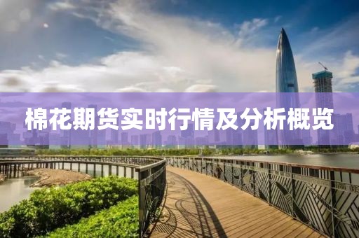 软门帘 第500页