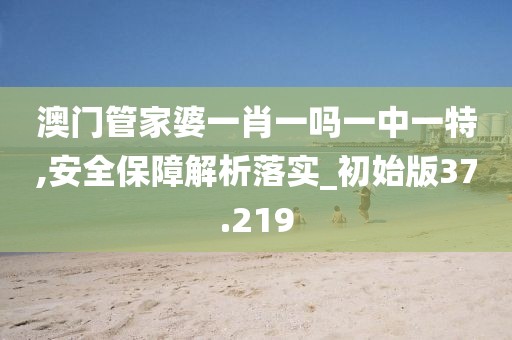 澳门管家婆一肖一吗一中一特,安全保障解析落实_初始版37.219