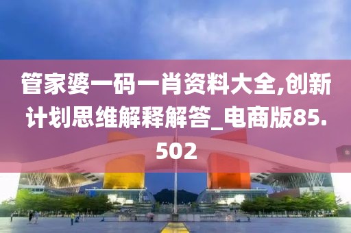 管家婆一码一肖资料大全,创新计划思维解释解答_电商版85.502
