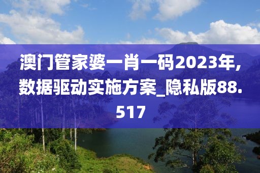 澳门管家婆一肖一码2023年,数据驱动实施方案_隐私版88.517