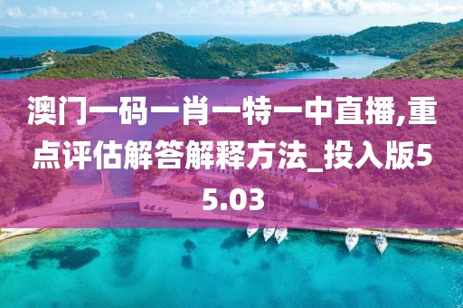 澳门一码一肖一特一中直播,重点评估解答解释方法_投入版55.03