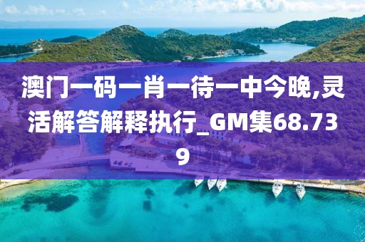 澳门一码一肖一待一中今晚,灵活解答解释执行_GM集68.739
