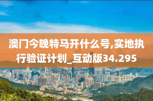 澳门今晚特马开什么号,实地执行验证计划_互动版34.295