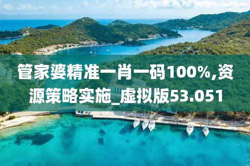 管家婆精准一肖一码100%,资源策略实施_虚拟版53.051