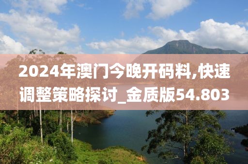 2024年澳门今晚开码料,快速调整策略探讨_金质版54.803