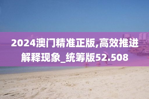 2024澳门精准正版,高效推进解释现象_统筹版52.508