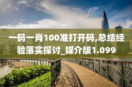 一码一肖100准打开码,总结经验落实探讨_媒介版1.099