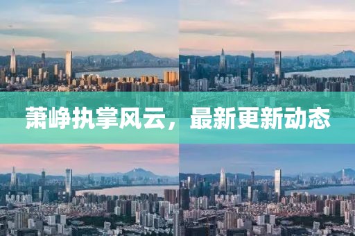 萧峥执掌风云，最新更新动态