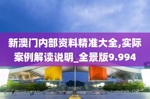 新澳门内部资料精准大全,实际案例解读说明_全景版9.994