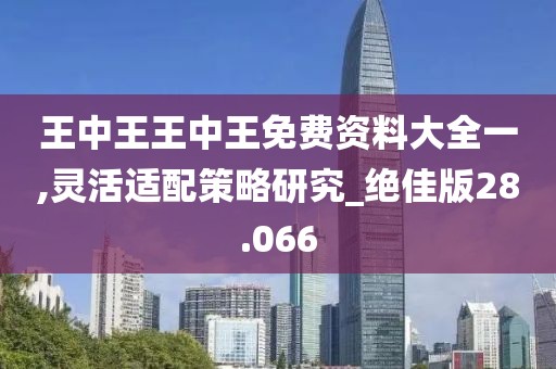 王中王王中王免费资料大全一,灵活适配策略研究_绝佳版28.066
