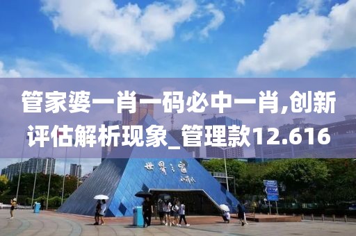 管家婆一肖一码必中一肖,创新评估解析现象_管理款12.616