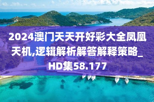 2024澳门天天开好彩大全凤凰天机,逻辑解析解答解释策略_HD集58.177