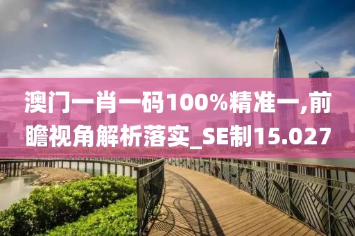 澳门一肖一码100%精准一,前瞻视角解析落实_SE制15.027