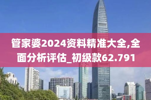 管家婆2024资料精准大全,全面分析评估_初级款62.791