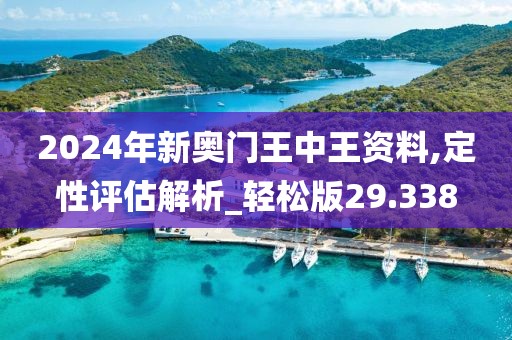 2024年新奥门王中王资料,定性评估解析_轻松版29.338