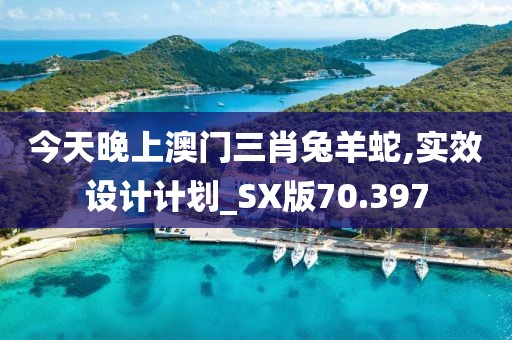 今天晚上澳门三肖兔羊蛇,实效设计计划_SX版70.397