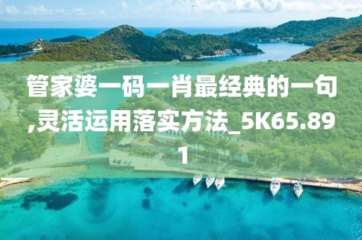 管家婆一码一肖最经典的一句,灵活运用落实方法_5K65.891