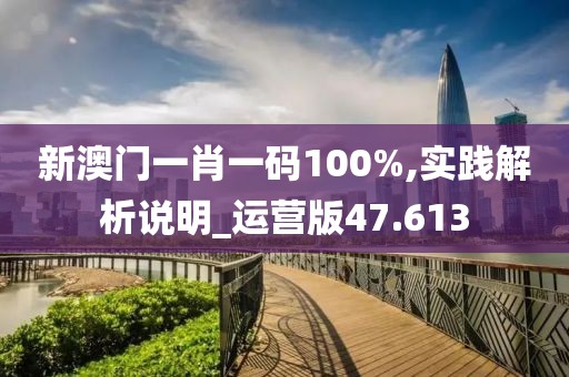 新澳门一肖一码100%,实践解析说明_运营版47.613