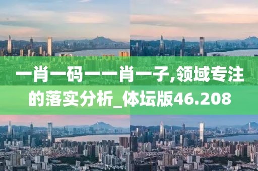 一肖一码一一肖一子,领域专注的落实分析_体坛版46.208