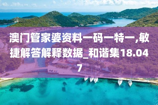 澳门管家婆资料一码一特一,敏捷解答解释数据_和谐集18.047