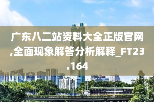 广东八二站资料大全正版官网,全面现象解答分析解释_FT23.164