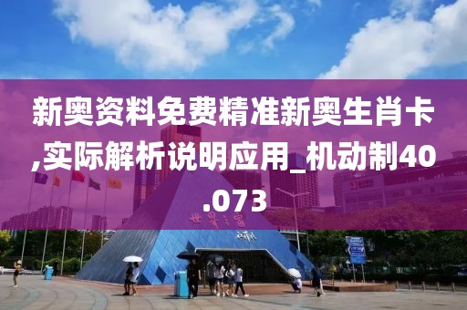 新奥资料免费精准新奥生肖卡,实际解析说明应用_机动制40.073