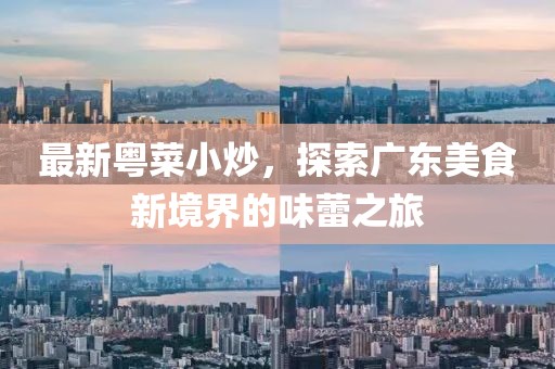 最新粤菜小炒，探索广东美食新境界的味蕾之旅