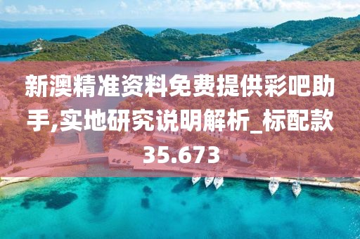新澳精准资料免费提供彩吧助手,实地研究说明解析_标配款35.673