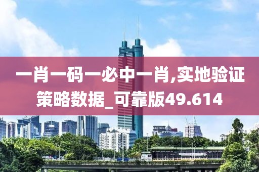 一肖一码一必中一肖,实地验证策略数据_可靠版49.614