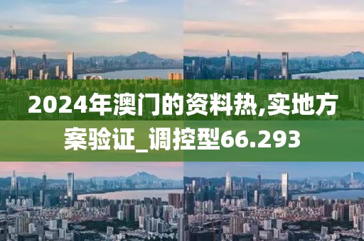 2024年澳门的资料热,实地方案验证_调控型66.293