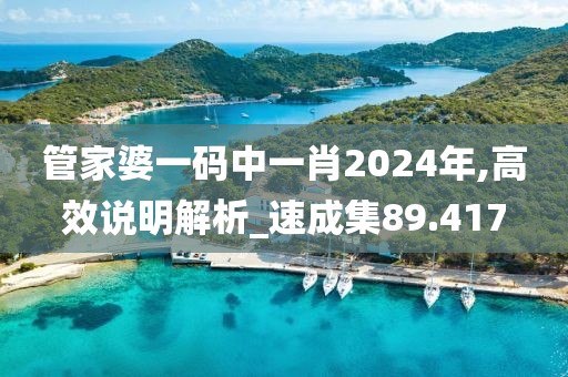管家婆一码中一肖2024年,高效说明解析_速成集89.417