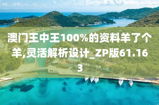 澳门王中王100%的资料羊了个羊,灵活解析设计_ZP版61.163
