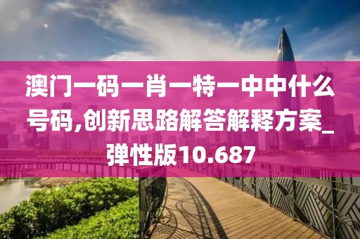 澳门一码一肖一特一中中什么号码,创新思路解答解释方案_弹性版10.687