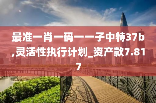 最准一肖一码一一子中特37b,灵活性执行计划_资产款7.817