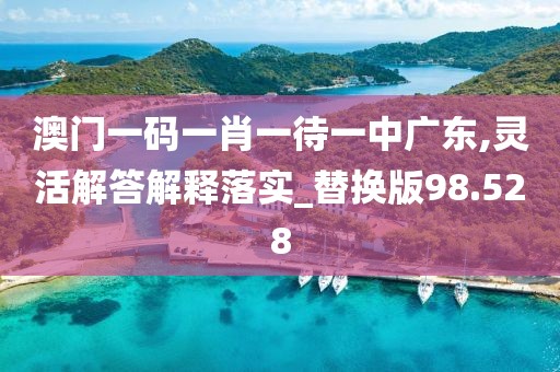 澳门一码一肖一待一中广东,灵活解答解释落实_替换版98.528