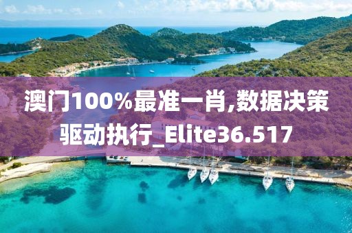 澳门100%最准一肖,数据决策驱动执行_Elite36.517