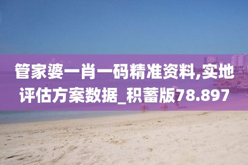 管家婆一肖一码精准资料,实地评估方案数据_积蓄版78.897