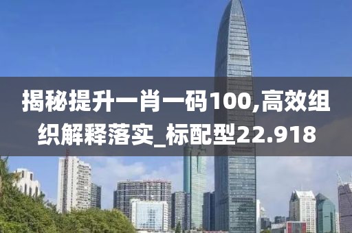 揭秘提升一肖一码100,高效组织解释落实_标配型22.918