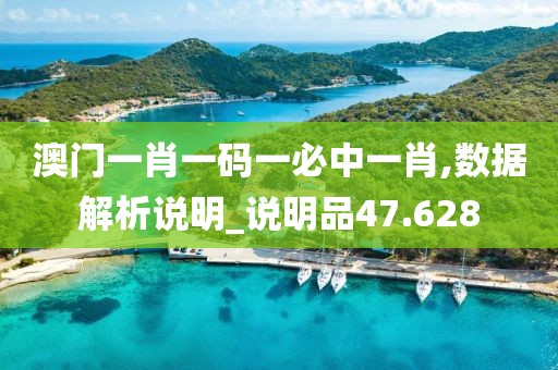 澳门一肖一码一必中一肖,数据解析说明_说明品47.628
