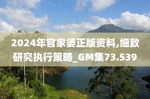 2024年官家婆正版资料,细致研究执行策略_GM集73.539