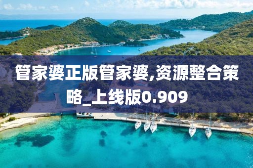 管家婆正版管家婆,资源整合策略_上线版0.909