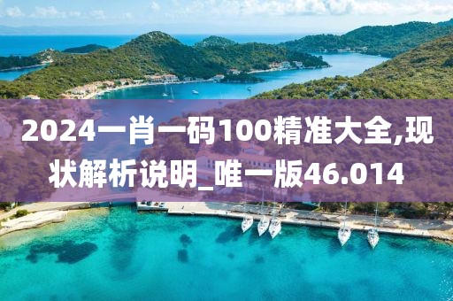 2024一肖一码100精准大全,现状解析说明_唯一版46.014