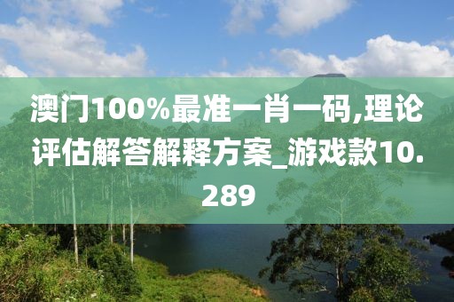 澳门100%最准一肖一码,理论评估解答解释方案_游戏款10.289