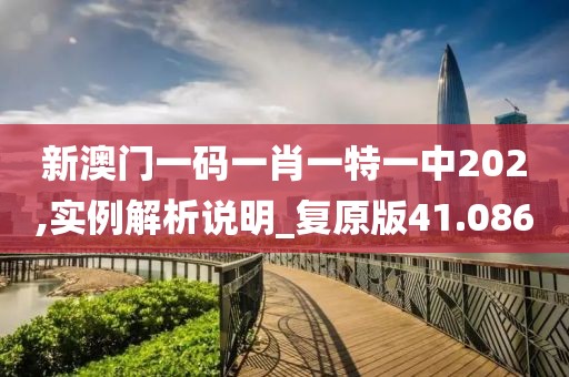 新澳门一码一肖一特一中202,实例解析说明_复原版41.086