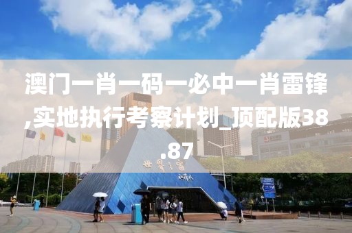 澳门一肖一码一必中一肖雷锋,实地执行考察计划_顶配版38.87