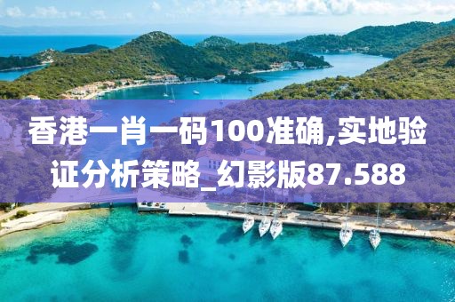 香港一肖一码100准确,实地验证分析策略_幻影版87.588