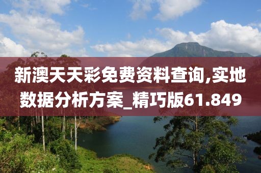 新澳天天彩免费资料查询,实地数据分析方案_精巧版61.849